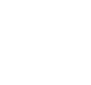ſ 
