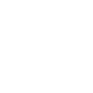 ſ