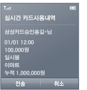 ī볻 ǽð ȳ.  [Ｚī ID-Secure˸] Ｚī ȳ: 0226 0000 ＺƮ 100,000 Ͻú Դϴ.